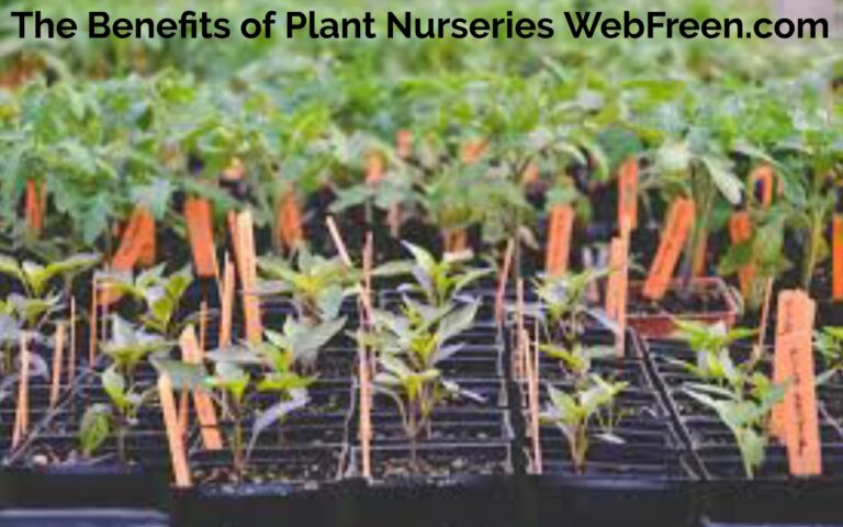 The Benefits of Plant Nurseries WebFreen.com